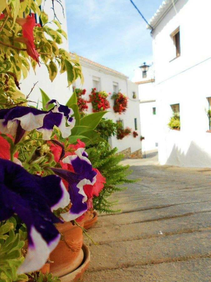 Valleverde Apartment Fuengirola Eksteriør billede